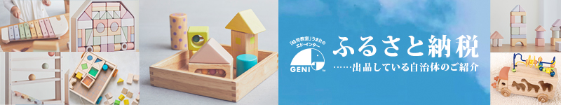 ふるさと納税 エドインター GENI